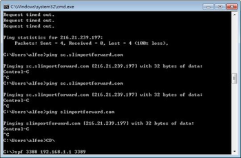 Slim Port Forward screenshot