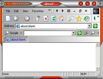 SlimBrowser screenshot 9