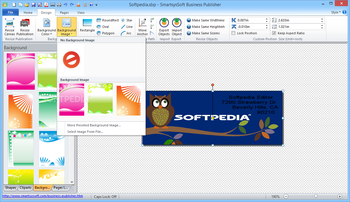 SmartsysSoft Business Publisher screenshot 3