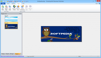 SmartsysSoft Business Publisher screenshot 4