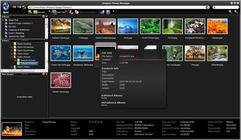 Snapact Photo Manager screenshot 2