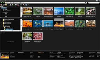 Snapact Photo Manager screenshot 3
