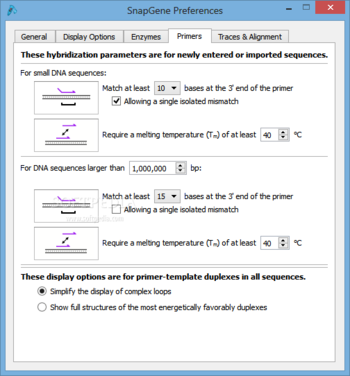 SnapGene screenshot 13