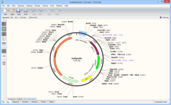 SnapGene Viewer screenshot