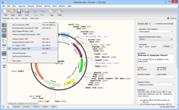 SnapGene Viewer screenshot 2