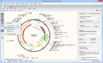 SnapGene Viewer screenshot 3