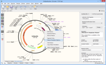 SnapGene Viewer screenshot 4