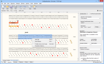 SnapGene Viewer screenshot 5