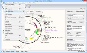 SnapGene Viewer screenshot 8