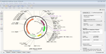 SnapGene Viewer screenshot