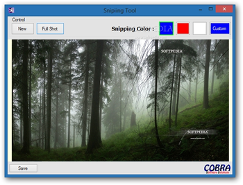 Snipping Tool screenshot