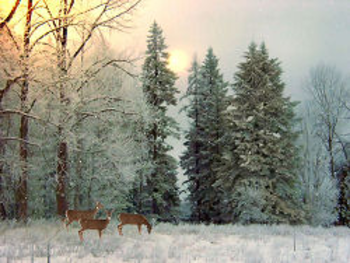 Snowland Screensaver screenshot