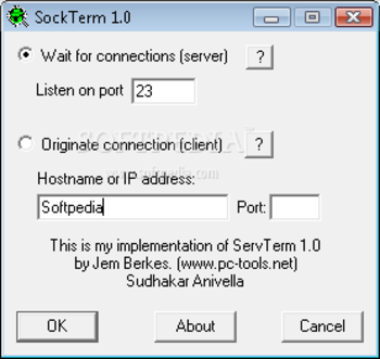 Sock Term screenshot