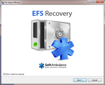 SoftAmbulance EFS Recovery screenshot