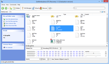 SoftAmbulance EFS Recovery screenshot 4