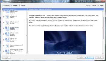 SoftAmbulance Word Recovery screenshot 3