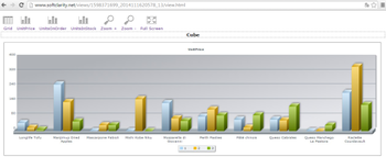 SoftClarity Analyzer screenshot 3