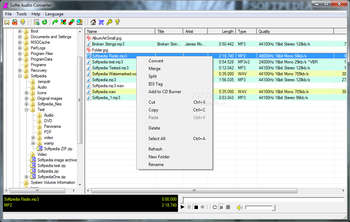 Softe Audio Converter screenshot