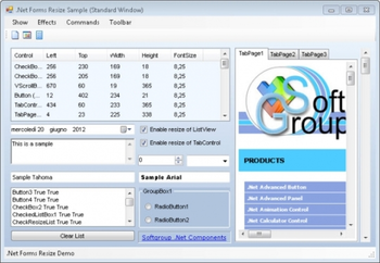 Softgroup .Net Forms Resize screenshot