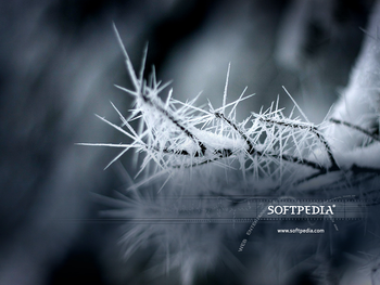 Softpedia Wallpaper Pack 5 screenshot