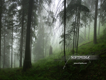 Softpedia Wallpaper Pack 7 screenshot