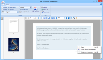 Solid PDF to Word screenshot 2