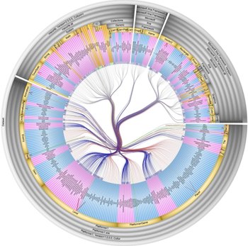 SolidSX screenshot