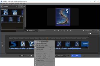 SolveigMM Video Splitter Business Edition screenshot 2