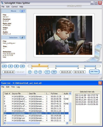 SolveigMM Video Splitter screenshot 3