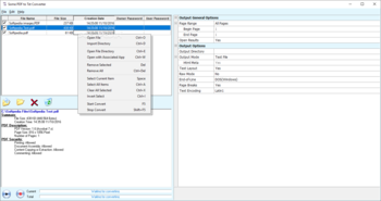 Some PDF to Txt Converter screenshot