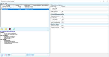 Some PDF to Word Converter screenshot