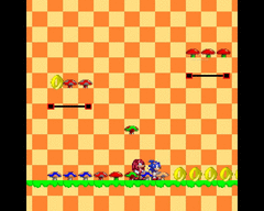 Sonic and Knuckles screenshot