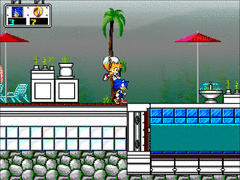 Sonic Chaos screenshot