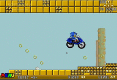 Sonic Enduro Race screenshot 2