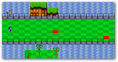 Sonic R DX screenshot 2