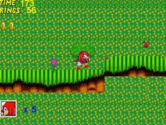 Sonic the Hedgehog Adventure 3 screenshot