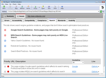 SortSite Professional screenshot 7