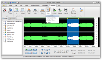 Sound Editor Deluxe screenshot 8