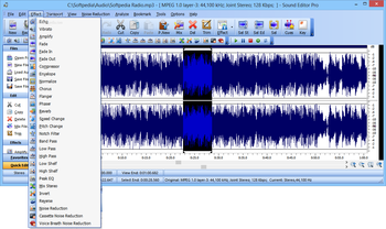 Sound Editor Pro screenshot 3