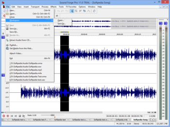Sound Forge Pro screenshot 2