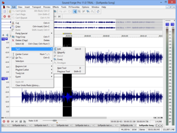 Sound Forge Pro screenshot 3