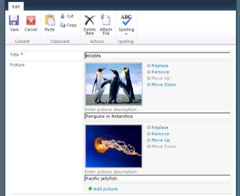 Sparqube Picture Column for SharePoint 2010 screenshot 3