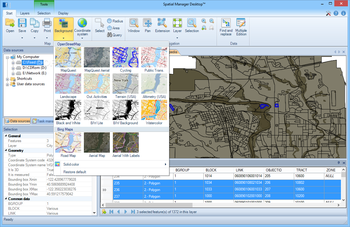 Spatial Manager Desktop screenshot 2