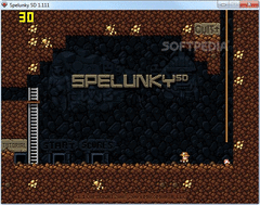 Spelunky SD screenshot 2