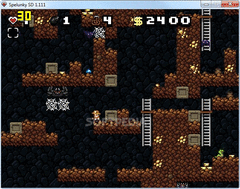 Spelunky SD screenshot 6