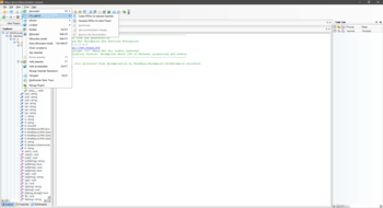 Spices.Net Decompiler screenshot 5