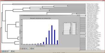 SPInDel workbench screenshot