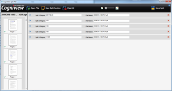Split PDF screenshot