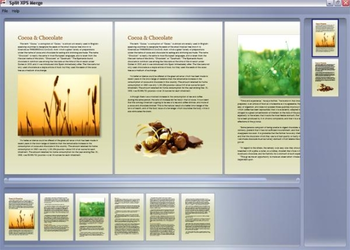 Split XPS Merge screenshot