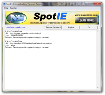 SpotIE Password Recovery screenshot